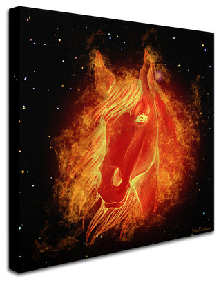 Mark Ashkenazi 'Horse On Fire' Canvas Art, 24"x24"