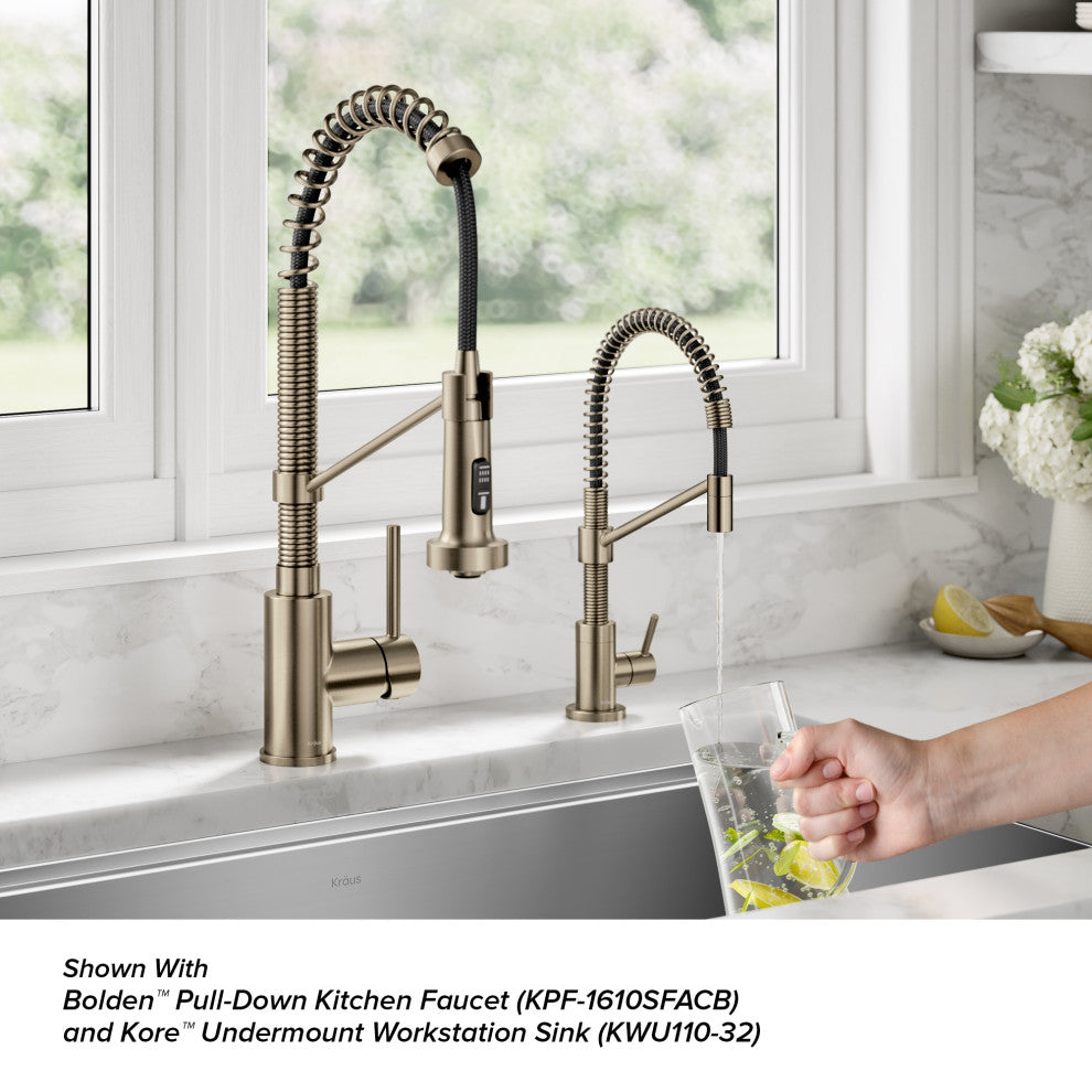 Bolden 1-Handle Drinking Water Filter Faucet for Water Filtration System, SFACB