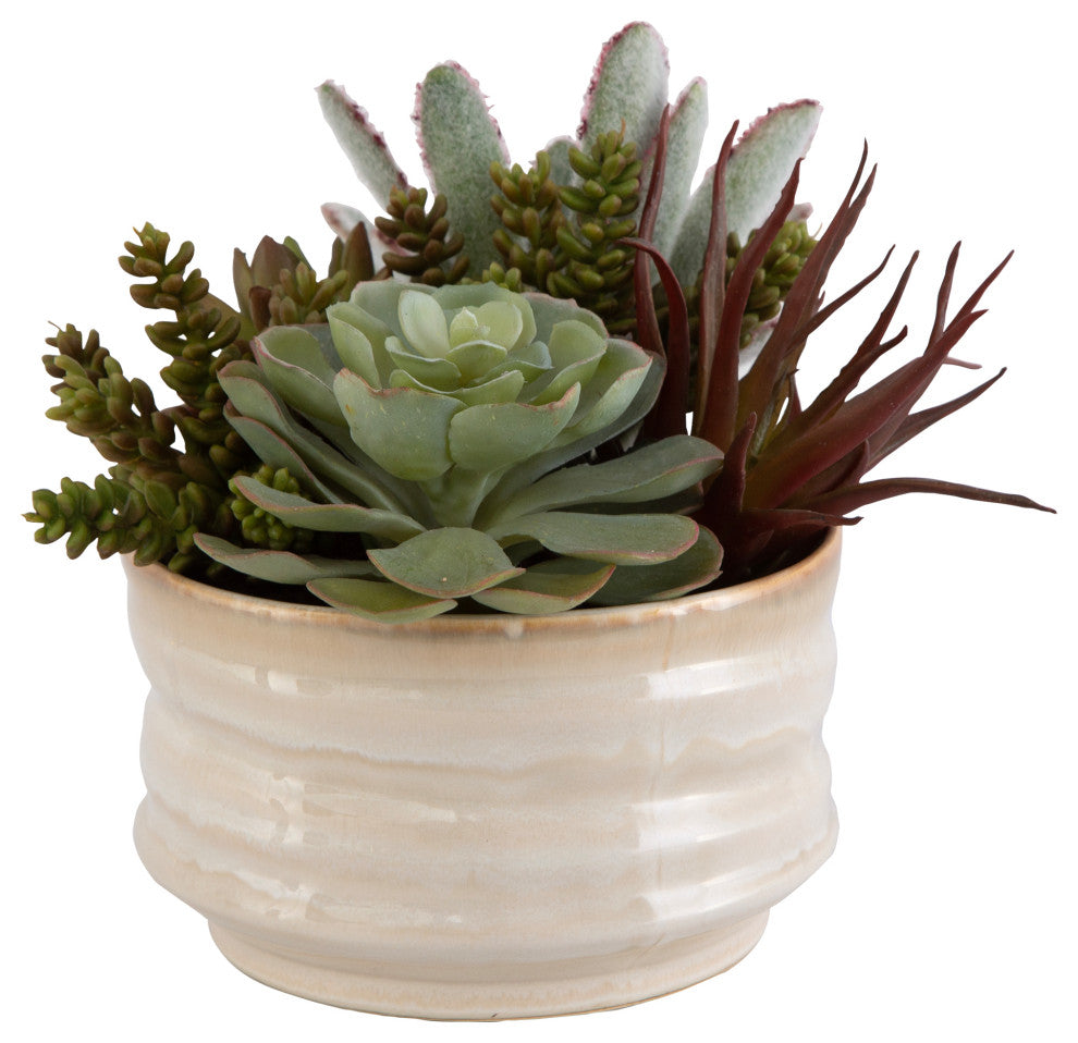 Mesa Succulent Accent