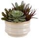 Mesa Succulent Accent