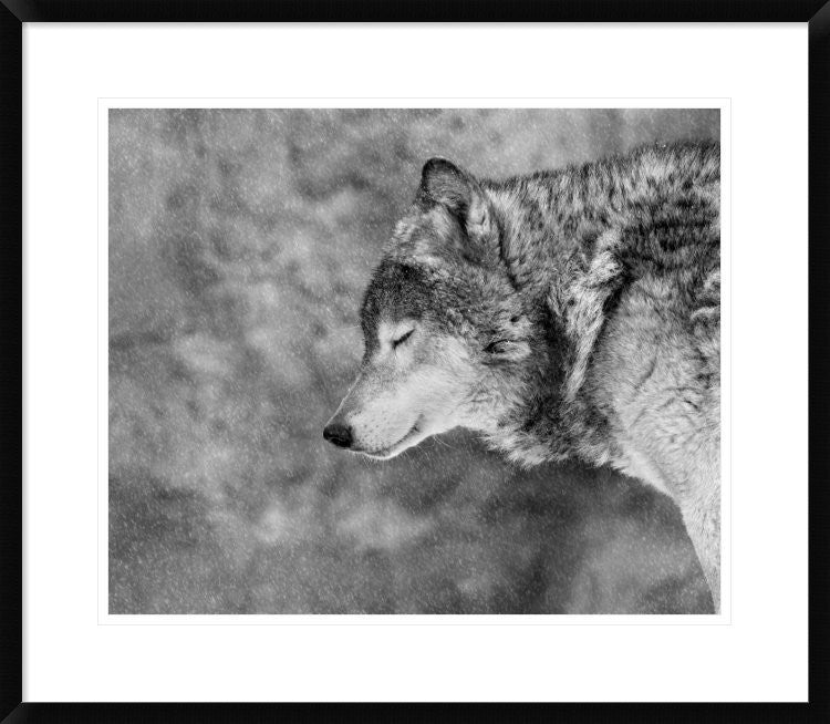 "Let It Snow" Framed Digital Print by Victoria Ivanova, 30x26"