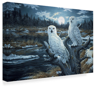 Jeff Tift 'Snowy Owls' Canvas Art, 47"x30"