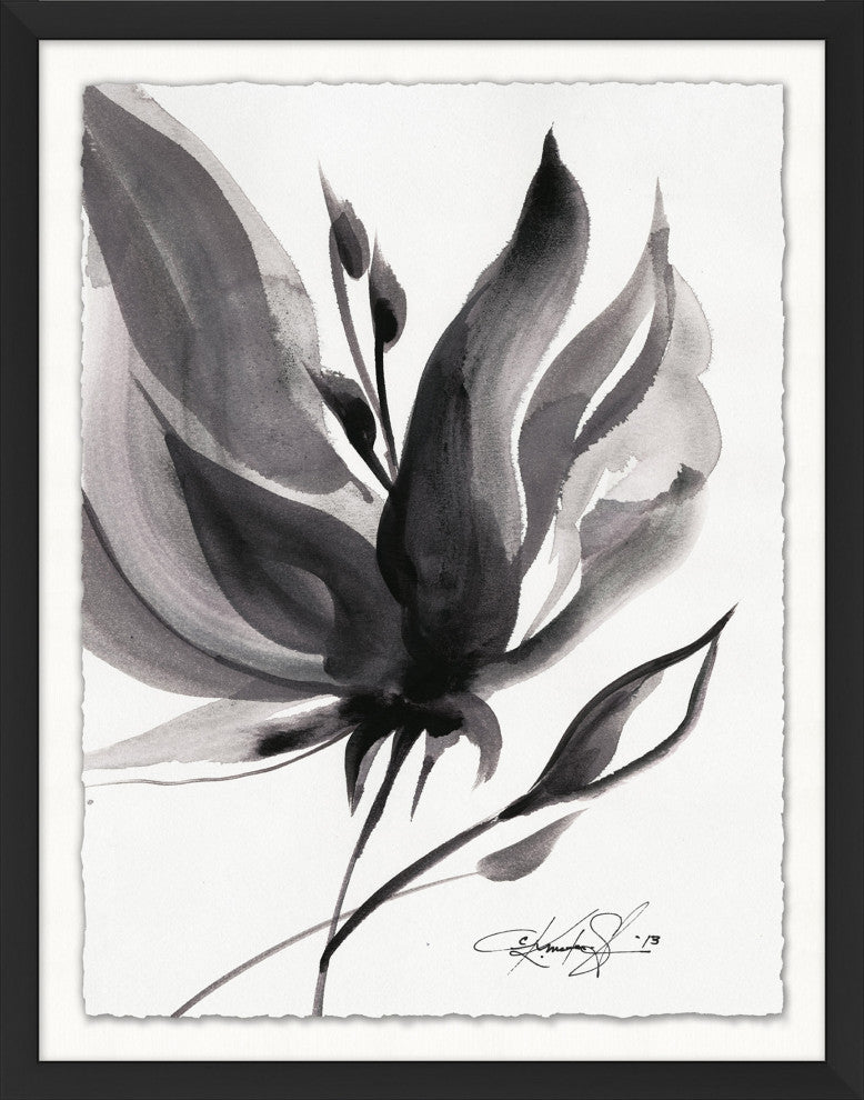 Black And White Flower Study 6, Giclee Reproduction Artwork