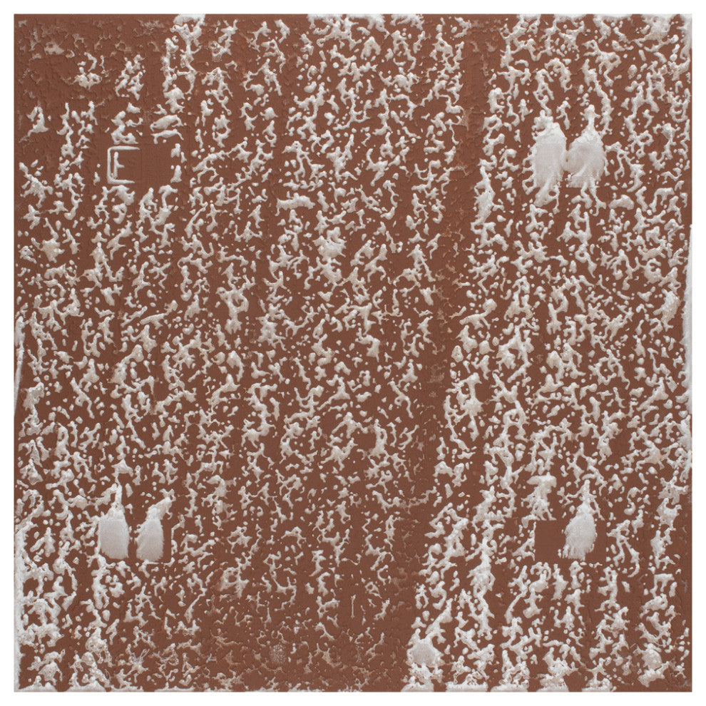 Kings Blume Encaustic Ceramic Floor and Wall Tile, White, Sample
