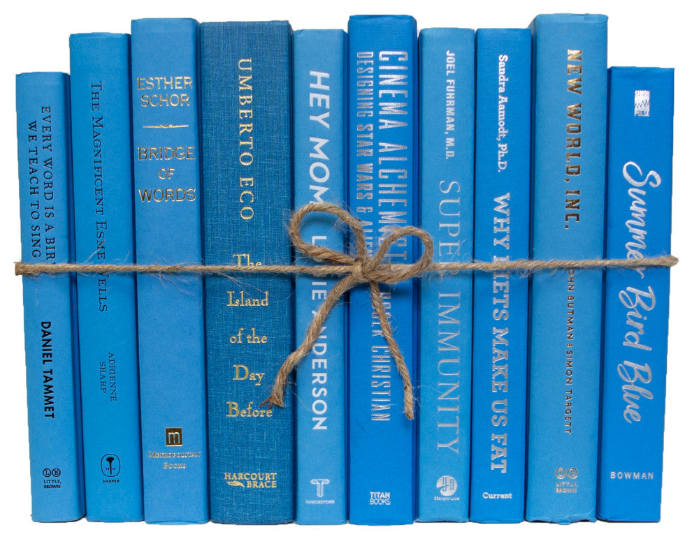 Decorative Books - Sky Book Bundle - 1 foot of Blue Books