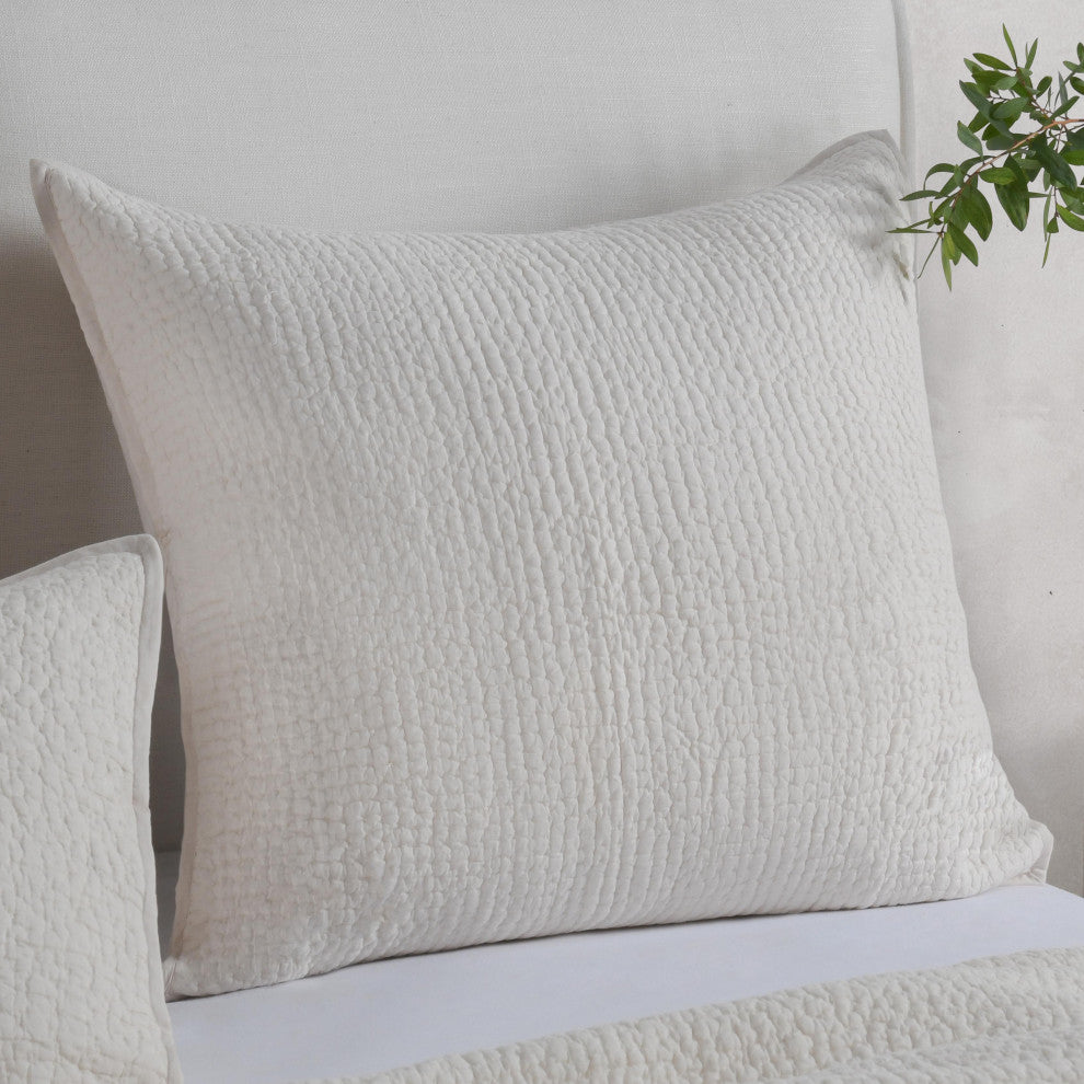 Danica 100% Cotton Sham by Kosas Home, Ivory, Euro Square