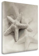 "Crystal Harbor - 18" By Alan Blaustein, Giclee Print on Gallery Wrap Canvas