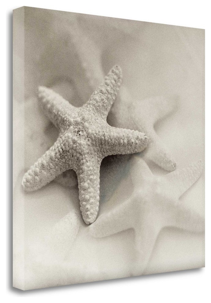 "Crystal Harbor - 18" By Alan Blaustein, Giclee Print on Gallery Wrap Canvas