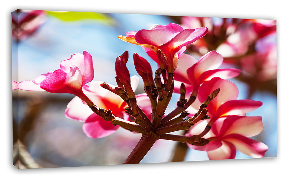 Bunch of Beautiful Tropical Flowers, Floral Canvas Art print, 32"x16"