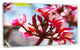 Bunch of Beautiful Tropical Flowers, Floral Canvas Art print, 32"x16"