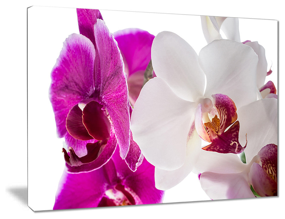 "Blooming Orchid Flowers" Digital Canvas Print, 40"x30"