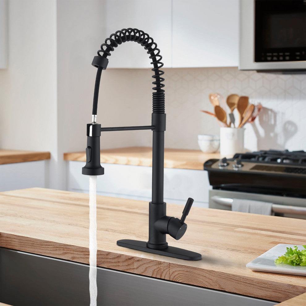 Single Handle Deck Mounted Spring Neck Kitchen Faucet with Pull Down Sprayer , M