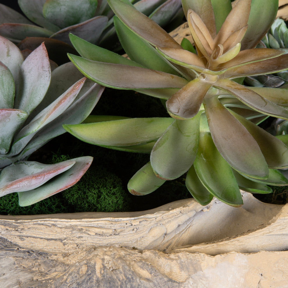 Lifestyle context with cropped detail of succulents in a natural setting (alternate_lifestyle_close).