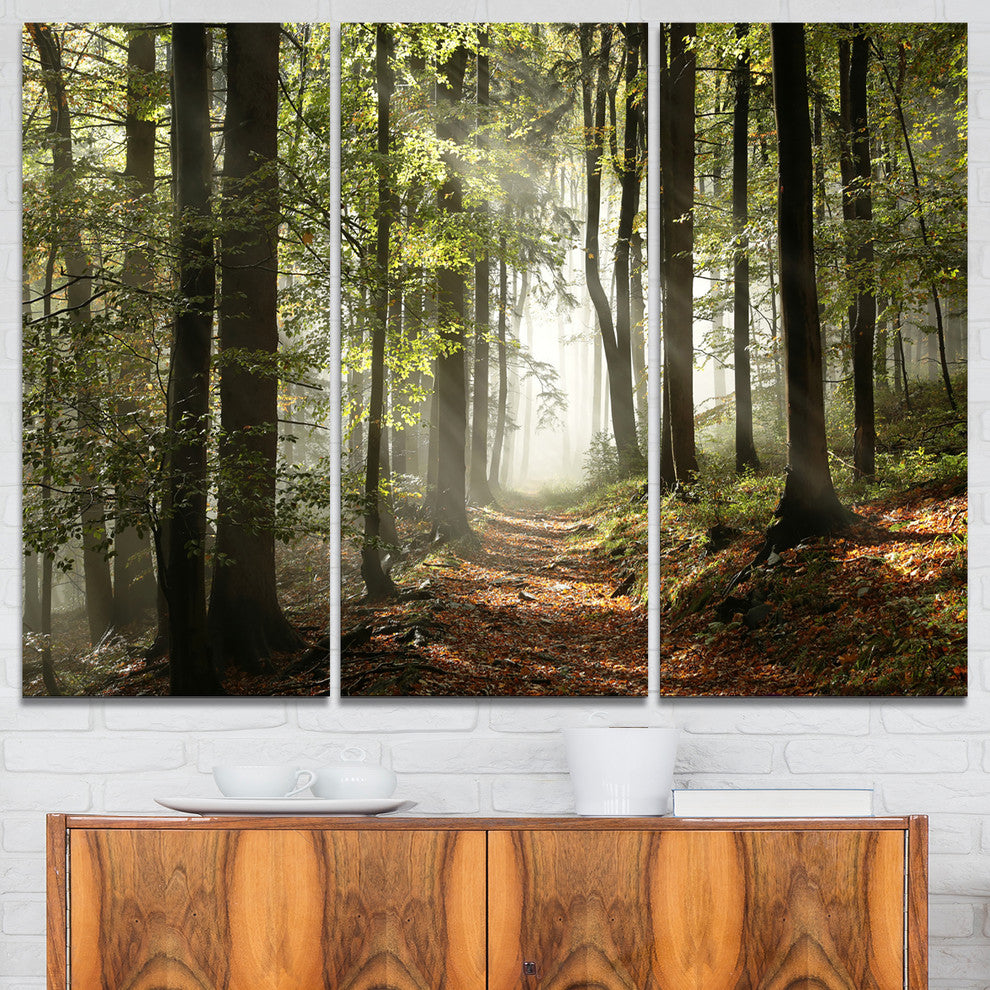 "Green Fall Forest With Sun Rays" Photo Wall Art, 3 Panels, 36"x28"