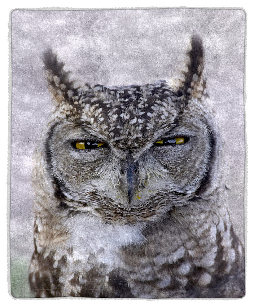 Sherpa Fleece Throw Blanket, Owl Print Pattern, by Lavish Home