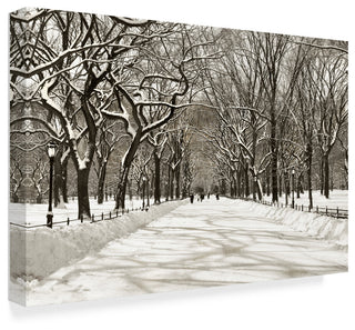 "Poets Walk" by Chris Bliss, Canvas Art, 30"x47"