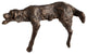 Lazy Dog Sculpture, Bronze