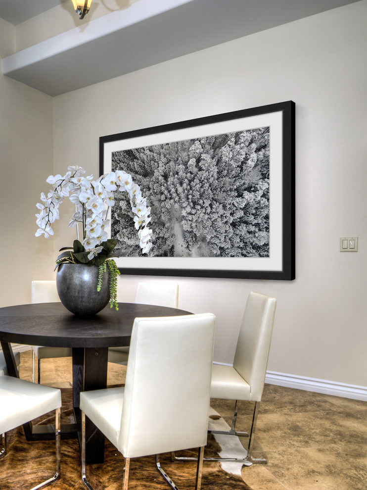 "Frozen Friends" Framed Print by Karolis Janulis