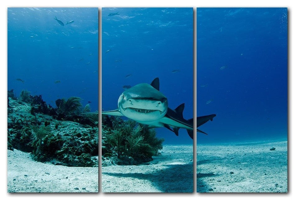 Ready2hangart Christopher Doherty Photography 'Shark' 3-PC Canvas Art Set