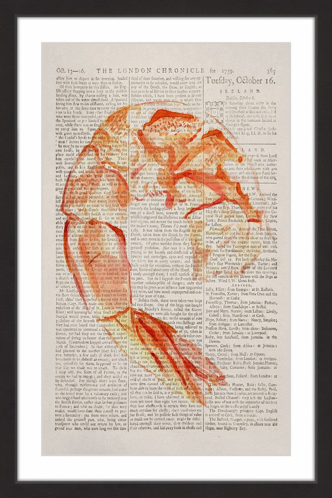 "Historical Crevette" Framed Painting Print, 30"x45"