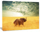 Rhino in Grassland under Cloudy Sky, African Canvas Art Print, 20"x12"