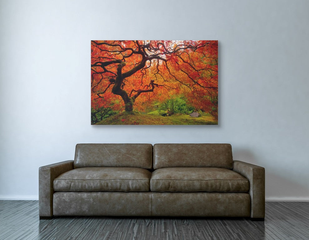 Epic Graffiti "Tree Fire" by Darren White, Giclee Canvas Wall Art, 40"x60"