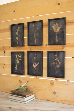 Botanical Prints Under Glass, Set of 6