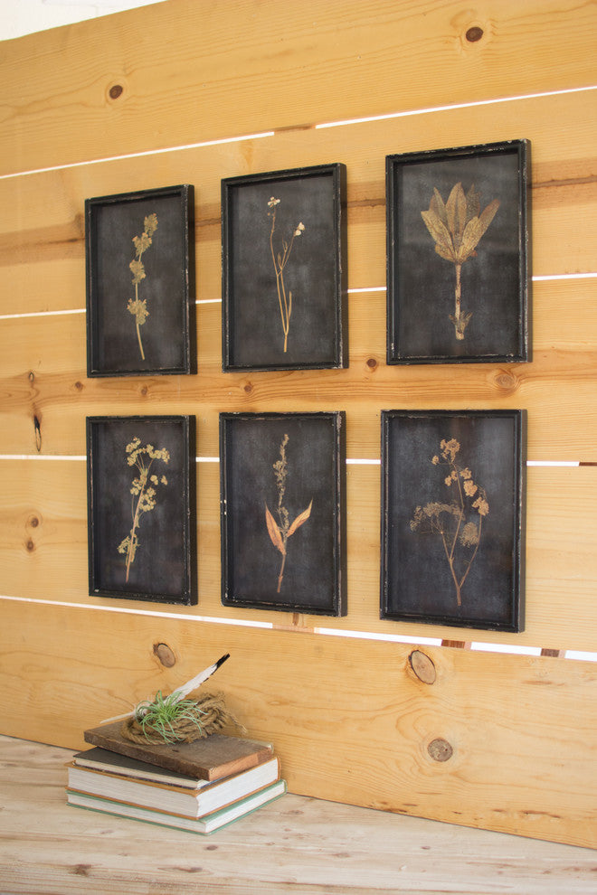 Botanical Prints Under Glass, Set of 6