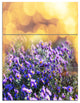 Purple Flowers on Brown Background, Flower Canvas Art Print, 28x36, 3 Panels