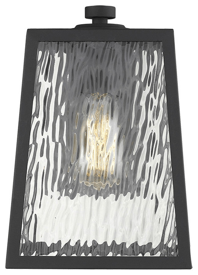 Hirche 1-Light Matte Black Wall Light