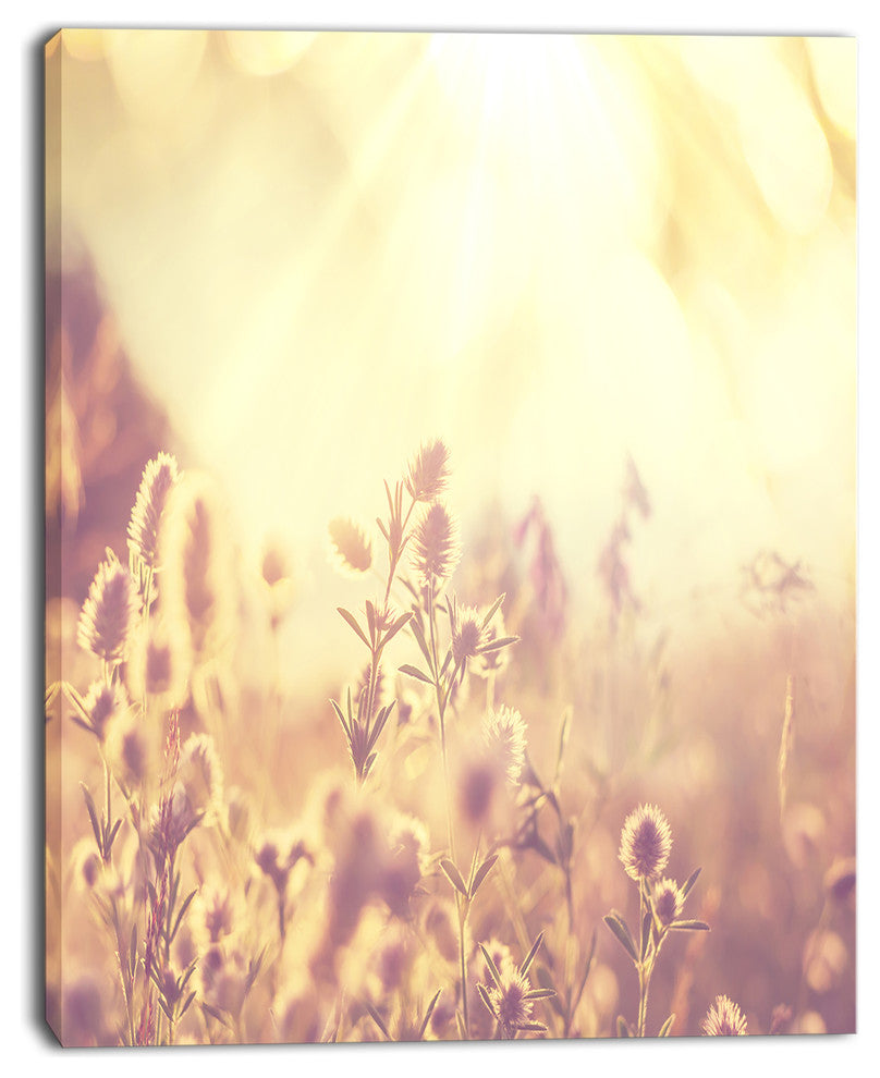 Flowers in Mountain Meadow At Sunset, Large Flower Canvas Wall Art, 12"x20"
