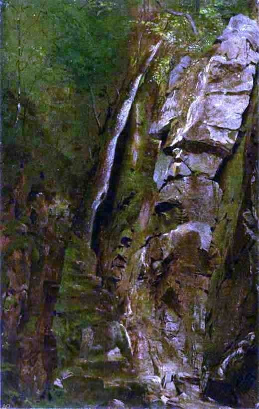Alexander Helwig Wyant The Gorge, Gallery Wrapped Canvas Print, 18"x27"