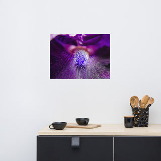 Eye of Iris Nature Photography, Floral Unframed Wall Art Print, 18" X 24"