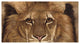 "Eyes of the Lion" Digital Paper Print by Jacquie Vaux, 38"x21"