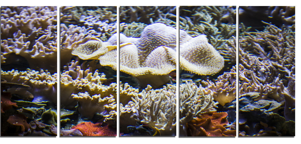Beautiful Seabed With Fish, Large Landscape Canvas Art, 60"x28", 5 Panels