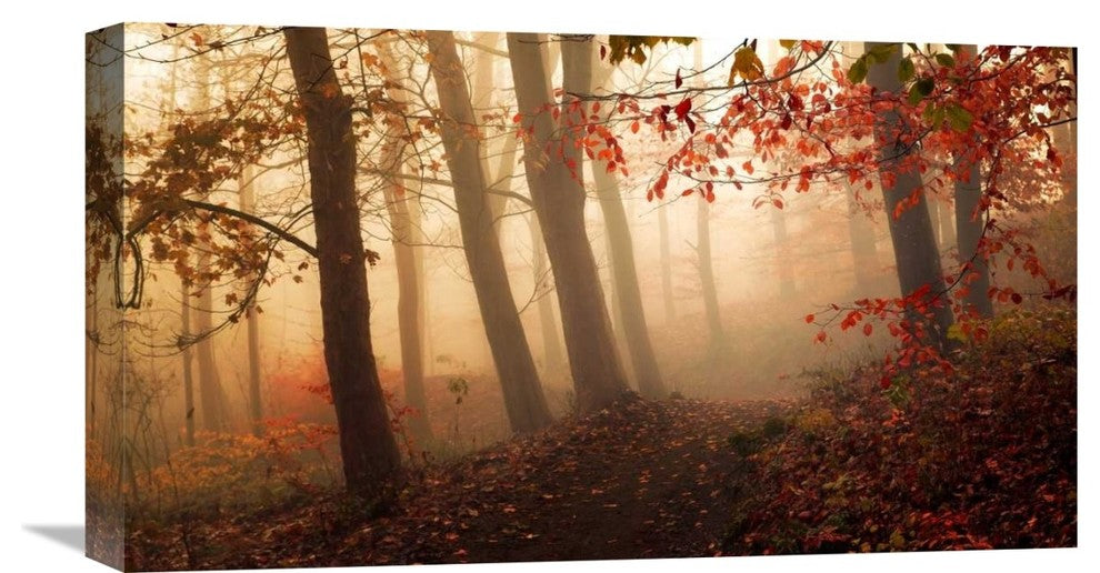"Towards The Light." Stretched Canvas Giclee by Leif Londal, 22x12"