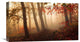 "Towards The Light." Stretched Canvas Giclee by Leif Londal, 22x12"