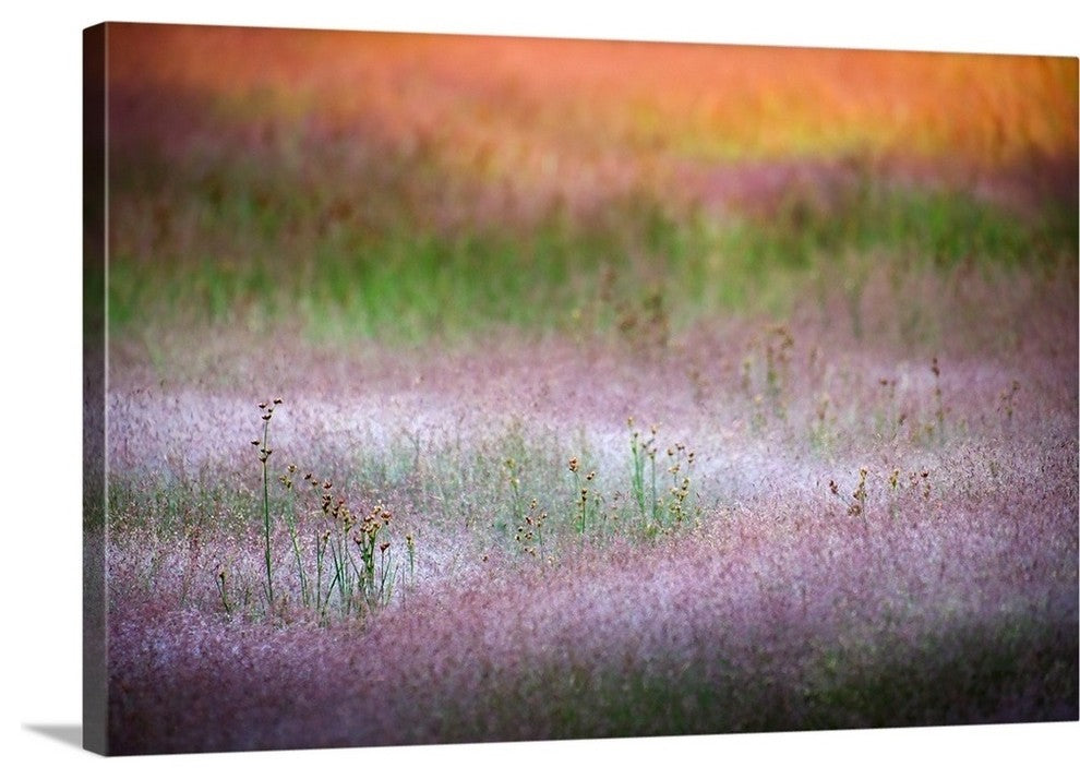 "Norris Grasses" Wrapped Canvas Art Print, 24"x16"x1.5"