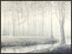 White Light, 41.25"x31.25", Espresso Natural Wood Gallery Floater