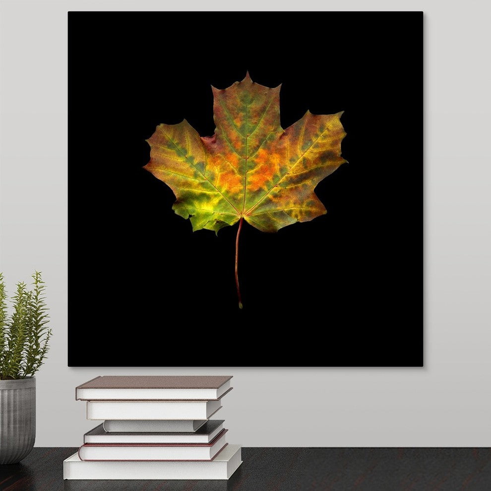 "Transition" Wrapped Canvas Art Print, 16"x16"x1.5"