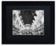 CATeyes 'Grand Station Terminal', Black Frame, Black Mat, 14x11