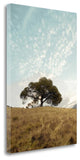 "Oak Tree - 12" By Alan Blaustein, Giclee Print on Gallery Wrap Canvas