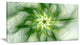 Rotating Bright Green Flower, Abstract Canvas Art Print, 40x20
