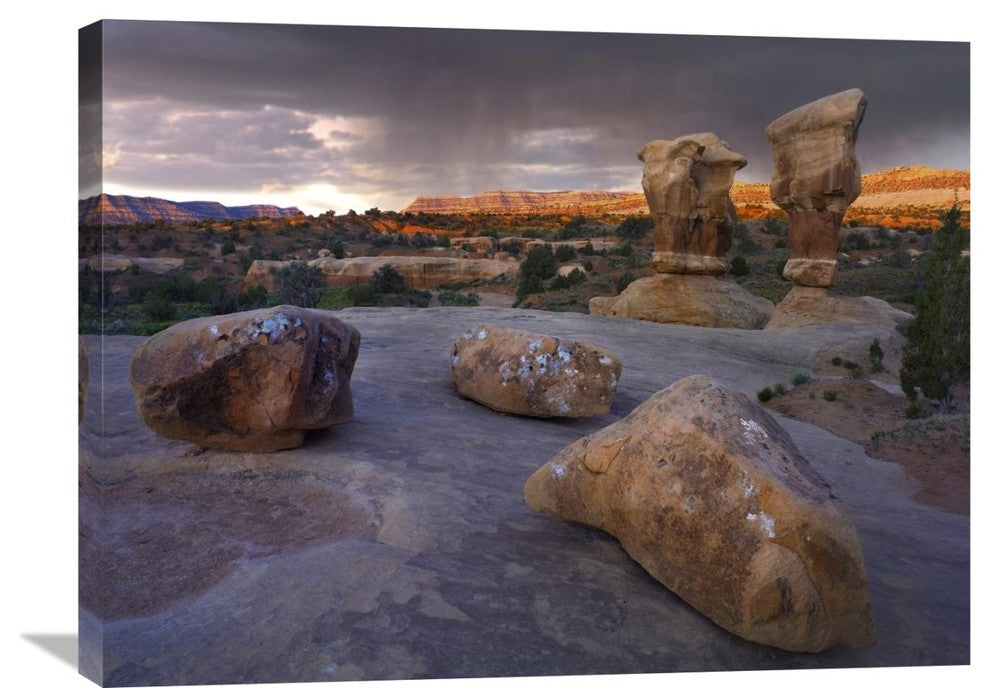 "Devil''s Garden Sandstone Formations, Escalante National Monument, Utah" Artwork