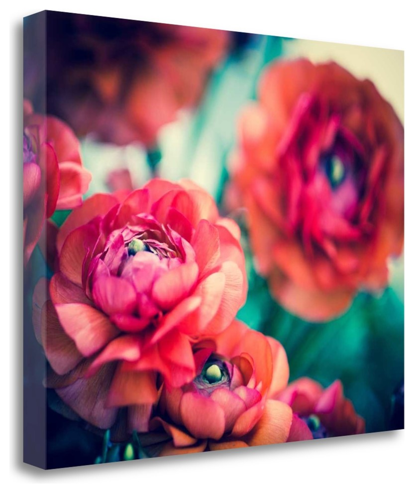 "Ranunculi" By Sonja Quintero,Ready to Hang Giclee Print on Gallery Wrap Canvas