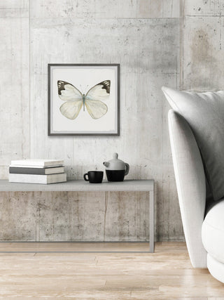 "Rainforest Butterfly" Framed Painting Print, 18x18