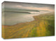 California II: Fertile Ground by Michael Mote, Print on Canvas, 24" x 16"