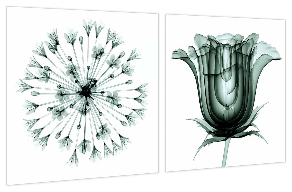 African Bluebell and Rose Veil, Flower Wall Art Tempered Glass Panel Artwork