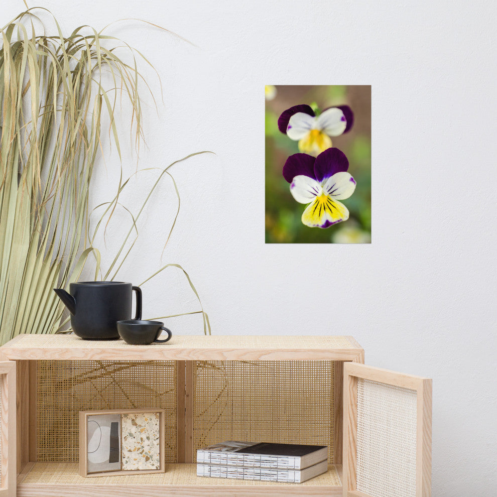 Pretty Little Violets Floral / Botanical Photograph Unframed Wall Art Prints, 12" X 18"