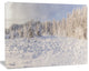 Wood Winter Glade, Landscape Canvas Art Print, 40"x30"